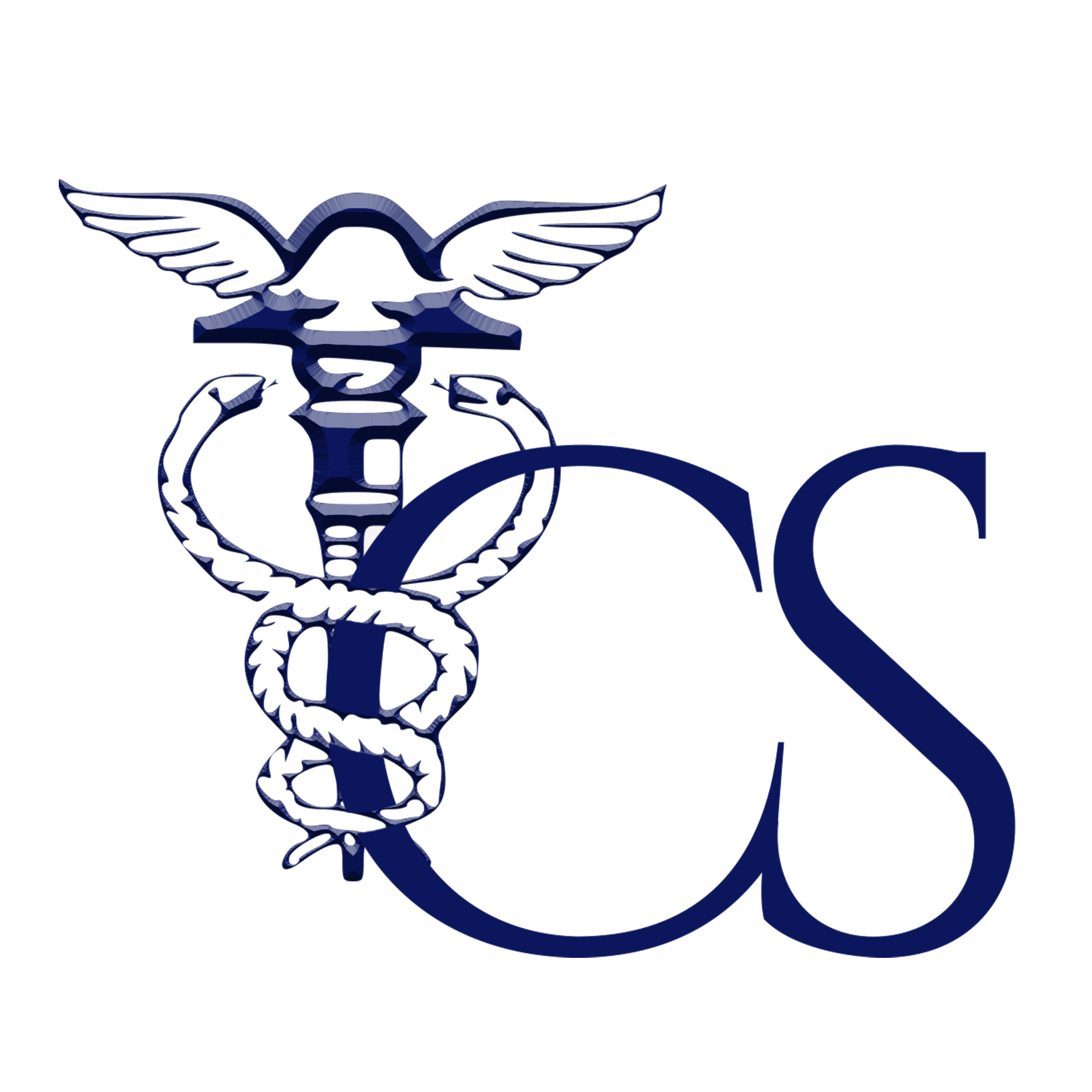 Logo-Azul - Isadora Costa (1)